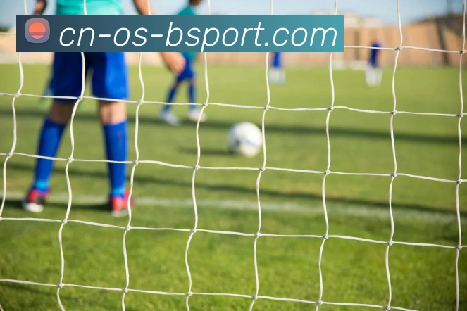 App Interface Preview